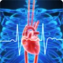 효소테라피 이미지