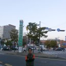 용현동물텀벙이거리 이미지