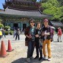 2026년5월18일. (경남산청출렁다리) (동의보감촌그름다리) 이미지