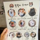북원로 | 원주 아이와 가볼만한곳 추천 강아지카페 왈왈이 후기