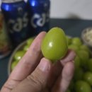 한아름농장 이미지