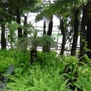 한밭수목원 동원 이미지