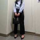 어울림레이디 | 디올 레이디백 미디움 사용 후기 (스몰 vs 미듐 고민 후기) 착샷 크기비교