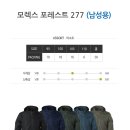 모렉스