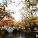 가보고싶은한옥(종가집) 이미지