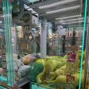 뽑CRANE 네이버블로그