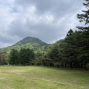 믿거나말거나박물관 | 가을엔 속리산 법주사, 성보 박물관 구경은 덤