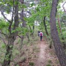 노루목길1 이미지