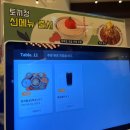 토끼정신세계부산 | [내돈내산] 부산 신세계 센텀시티몰 토끼정 솔직 후기