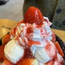 신전떡볶이 수유점 | [임신일기] #16 임신 30주 | 배크기, 배뭉침, 트립트랩 배송, 강원도 삼척 여행