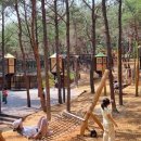 숲속공원놀이터 이미지