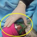 정관119안전센터 이미지