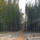 신월공원 이미지