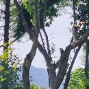 더더블유의원 이미지