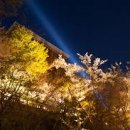 [야간]일본어 이미지