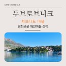PLATANUS | 두브로브니크 근교 여행 | 평화로운 해안 마을 차브타트