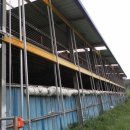 영암흑염소 이미지