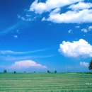 푸른하늘 이미지