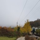 삼지덕공인중개사사무소 이미지