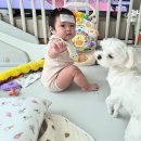 이레 아이병원 네이버블로그