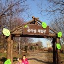 서울숲유아숲체험장 네이버블로그
