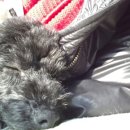 갤러리윤 이미지