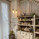 빈티지플랜트 | 군산 푸른 플랜트샵 후기, 군산 감성 꽃집,인테리어 화분, 집들이,승진 화분 추천