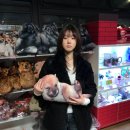 미(美)스파 | 요즘 내 글이 재미없대...