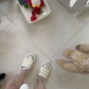 에브리 멍데이 | 목포강아지호텔링 /남악 에브리멍데이 이용해본후기