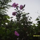 감산2리 이미지