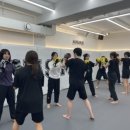 하바스MMA 압구정 이미지