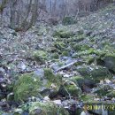 오마도터널 이미지