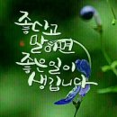행복한아침 Daum카페