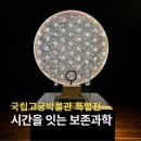 만복공예 | 서울 무료전시 국립고궁박물관 특별전 RE:BORN, 시간을 잇는 보존과학