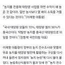 "돈 벌 기회" vs "中 태양광 카르텔"…'농지 전용 태양광' 논란, 왜? 이미지