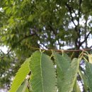 증인아트홀 이미지