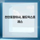 서비스월드 | 천안포장이사, 월드익스프레스 천안 포장이사 서비스 후기, 월드익스프레스