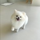 멍개구름 이미지