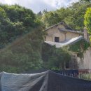 산호동174 이미지