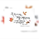 나무랑캘리랑