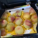 병준농장 이미지