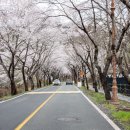 진안읍 1416 | 진안 가볼만한곳 운일암반일암 등 9곳