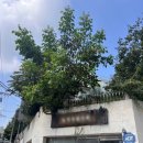 예신한의원 이미지