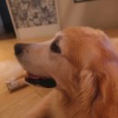 넘버25호텔 남양주북한강점 이미지