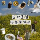 RR-31[공항로]-하-2 | [ 2박 3일 제주여행 ] 3일차 :: 제주 유채꽃? 나만 따라와 / 유채꽃재배단지.해일리카페.하도해변...