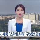 세종시 연서면 청라리 땅 이미지