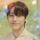 청춘마카롱 이미지