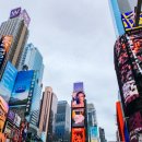 맘편한민박 이미지