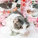 더워시포항 이미지