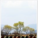 지청낚시터